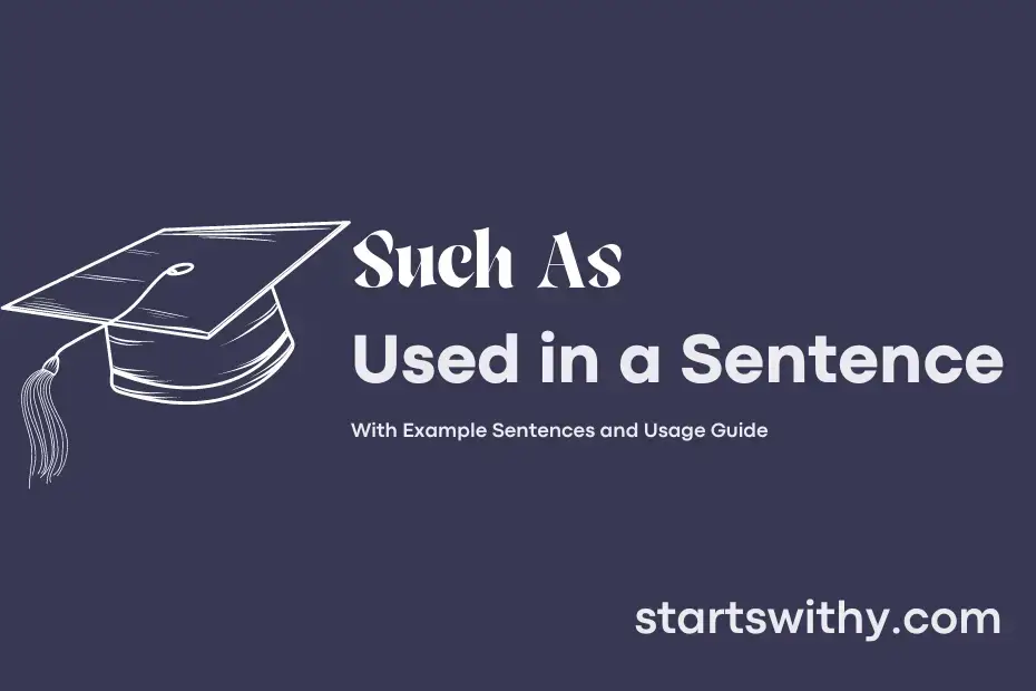 such-as-in-a-sentence-examples-21-ways-to-use-such-as