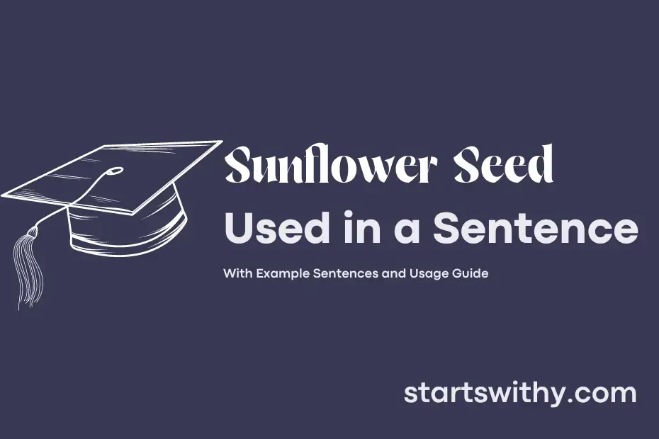 Sentence with Sunflower Seed
