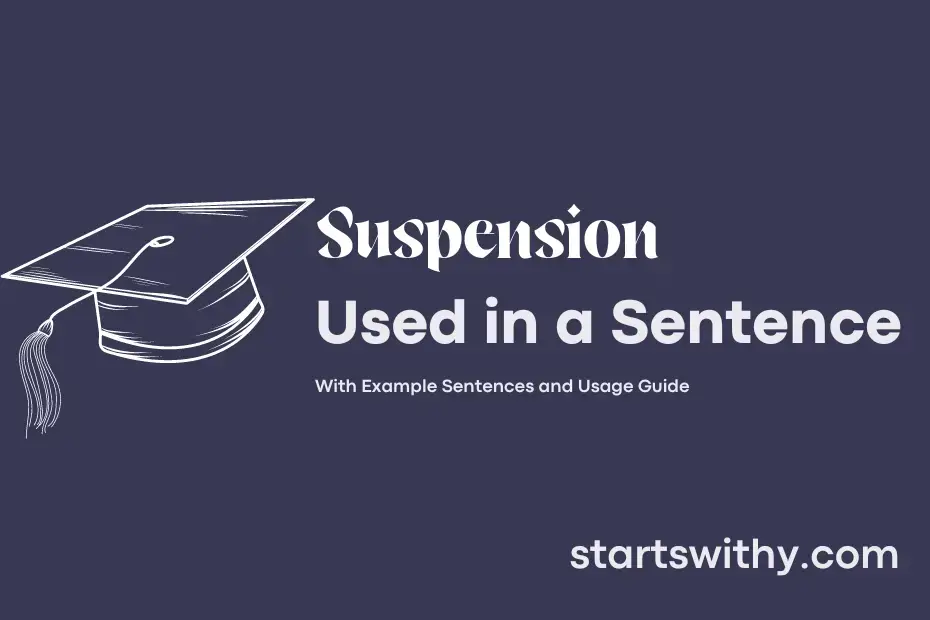 suspension-in-a-sentence-examples-21-ways-to-use-suspension