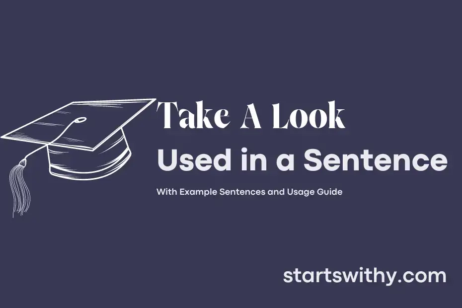 take-a-look-in-a-sentence-examples-21-ways-to-use-take-a-look