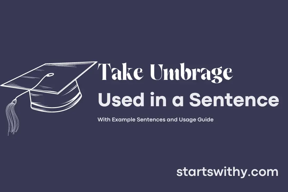 Sentence with Take Umbrage