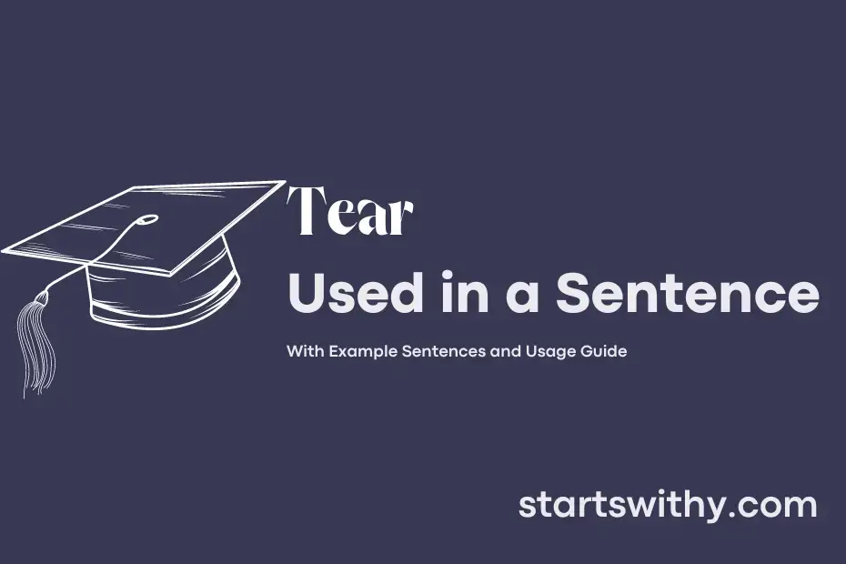 tear-in-a-sentence-examples-21-ways-to-use-tear