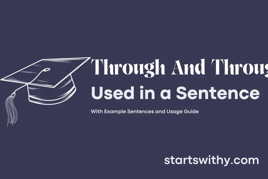 through-and-through-in-a-sentence-examples-21-ways-to-use-through-and