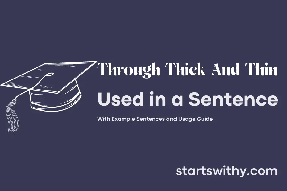 through-thick-and-thin-in-a-sentence-examples-21-ways-to-use-through