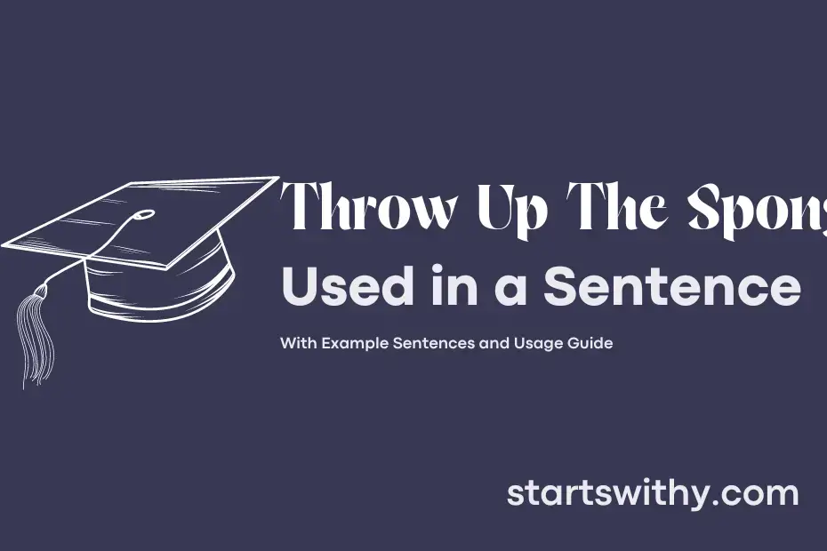 throw-up-the-sponge-in-a-sentence-examples-21-ways-to-use-throw-up-the