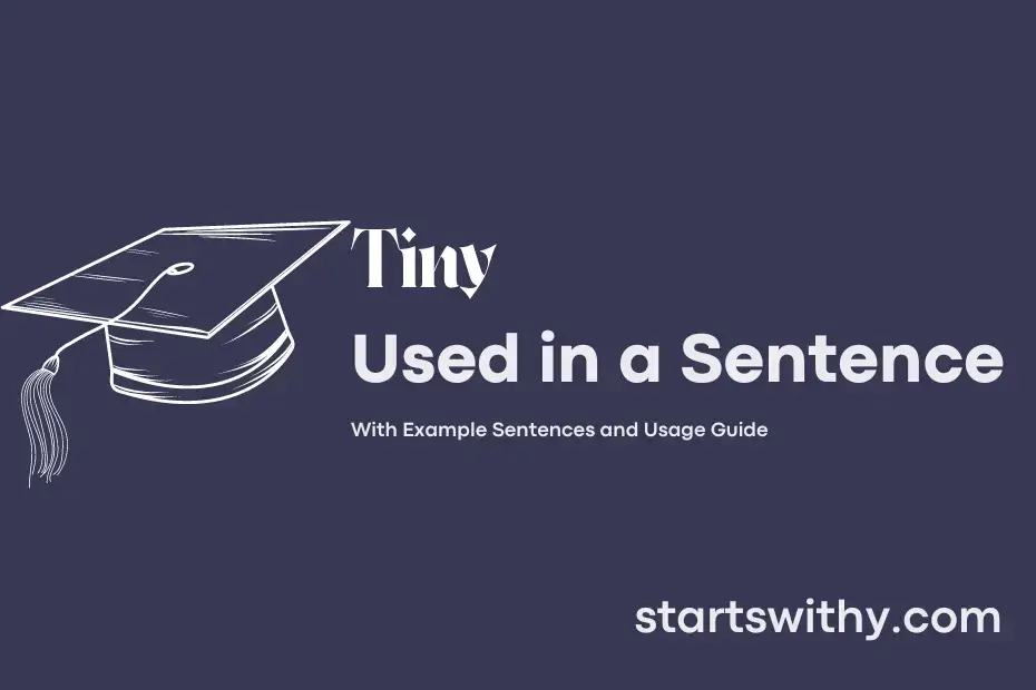 tiny-in-a-sentence-examples-21-ways-to-use-tiny