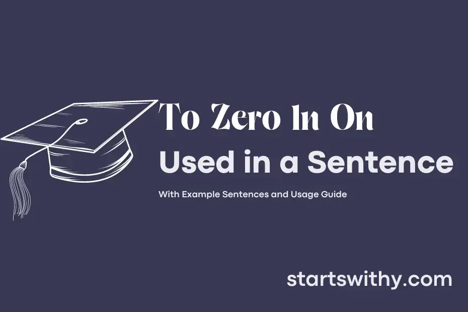 to-zero-in-on-in-a-sentence-examples-21-ways-to-use-to-zero-in-on