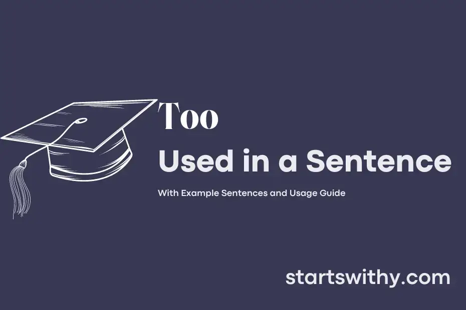 Too In A Sentence Examples 21 Ways To Use Too 