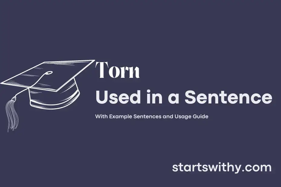 torn-in-a-sentence-examples-21-ways-to-use-torn