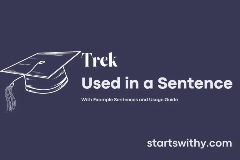 TREK In A Sentence Examples 21 Ways To Use Trek