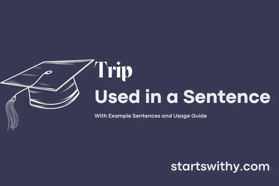 trip in english sentence