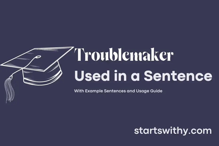 Troublemaker In A Sentence