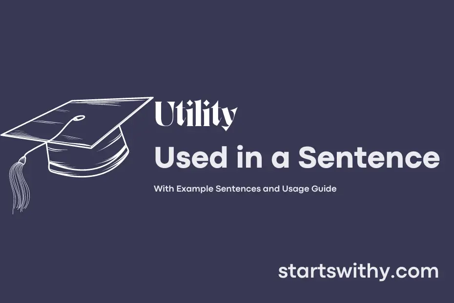 UTILITY In A Sentence Examples 21 Ways To Use Utility