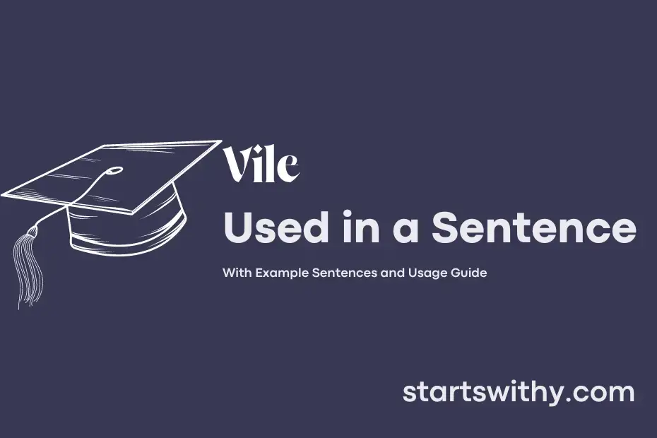 vile-in-a-sentence-examples-21-ways-to-use-vile