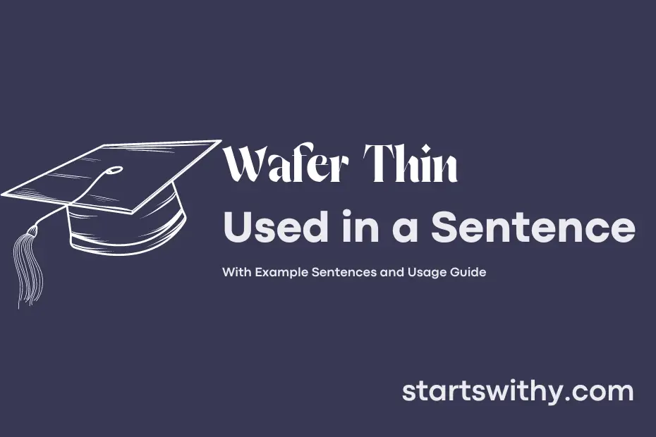 WAFER THIN in a Sentence Examples: 21 Ways to Use Wafer Thin