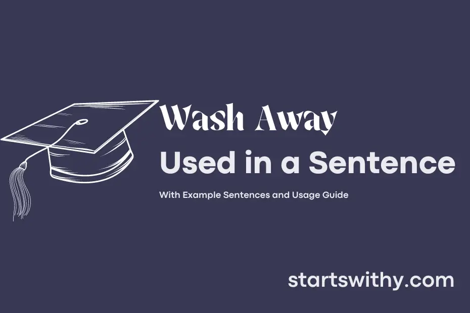 Sentence with Wash Away