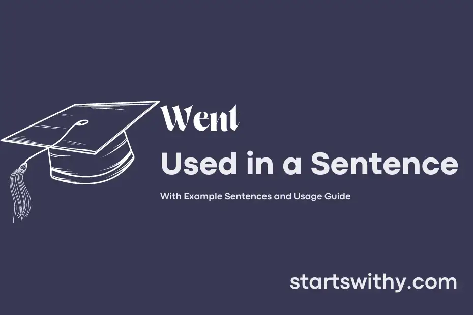 went-in-a-sentence-examples-21-ways-to-use-went