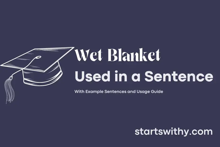 WET BLANKET in a Sentence Examples 21 Ways to Use Wet Blanket