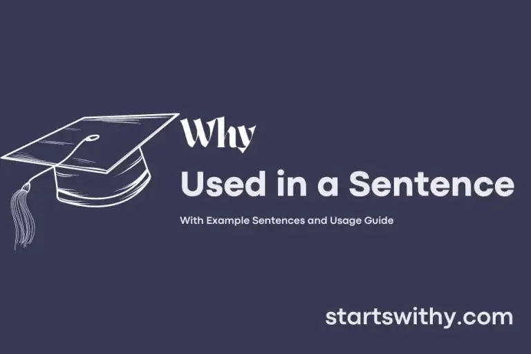 WHY in a Sentence Examples: 21 Ways to Use Why