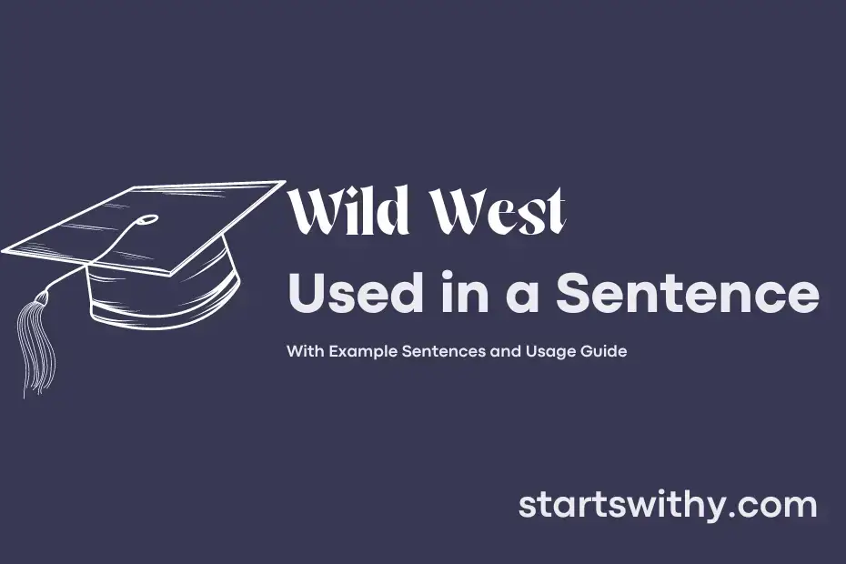 wild-west-in-a-sentence-examples-21-ways-to-use-wild-west