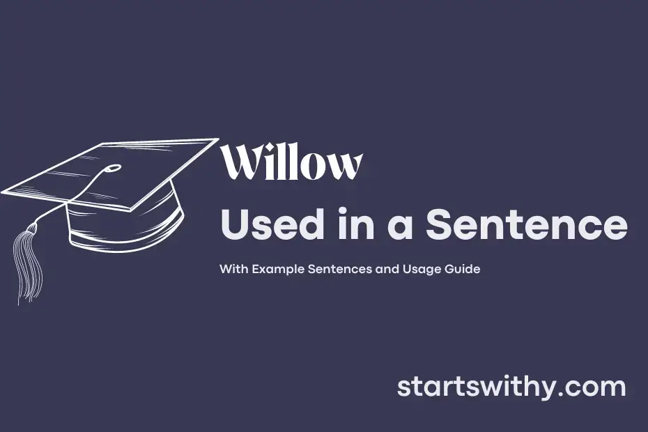 willow-in-a-sentence-examples-21-ways-to-use-willow