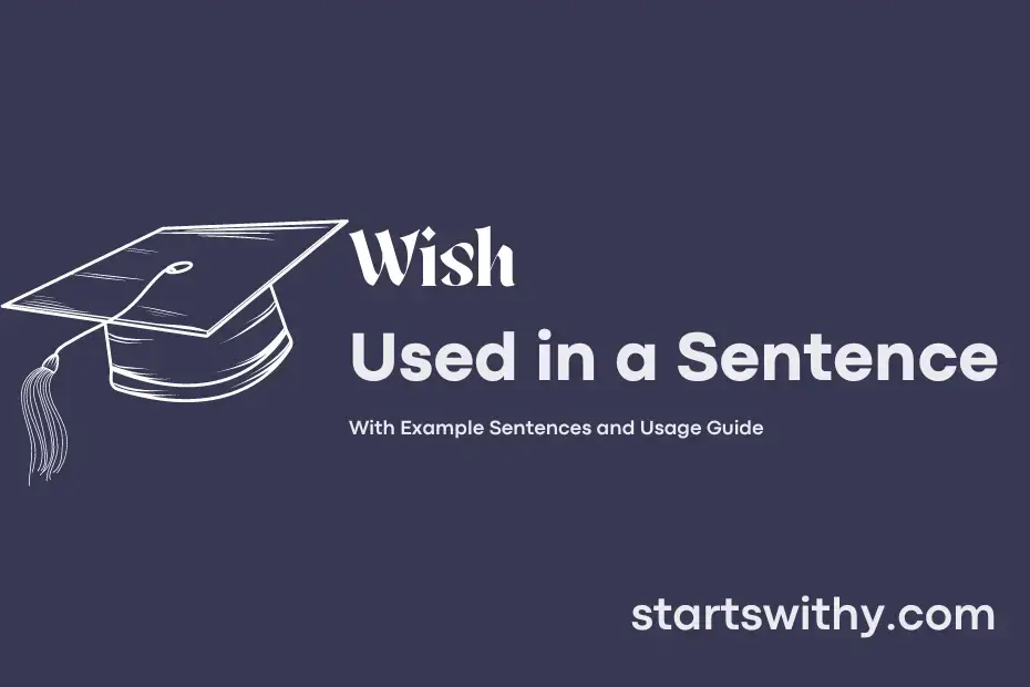 wish-in-a-sentence-examples-21-ways-to-use-wish