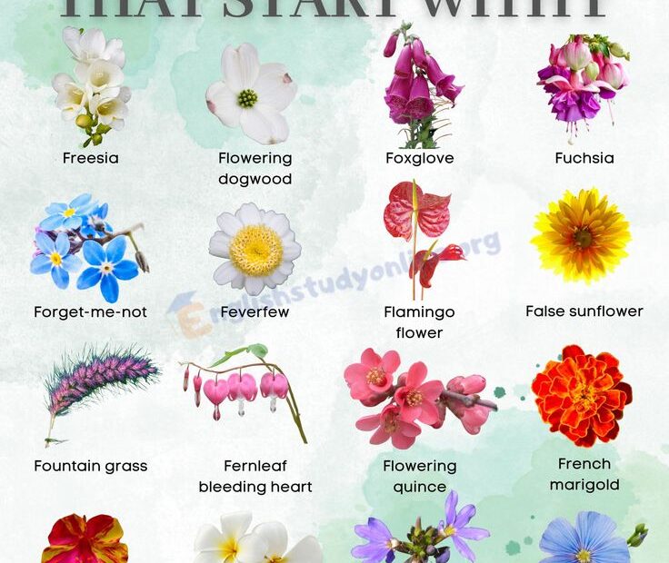 Common Plants That Start with F